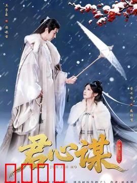 君心谋：替身王妃的逆袭