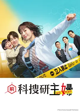 前科搜研的主妇：家庭主妇的另类探案