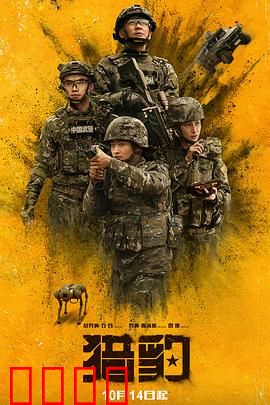 猎豹：速度与生存