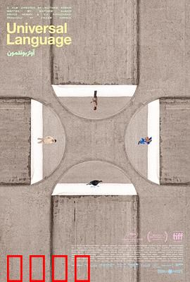 共同的语言：跨越隔阂