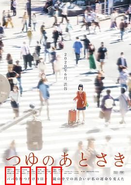 雨季过后：微光中的重逢