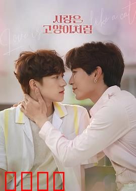 爱情像猫一样：猫式恋曲