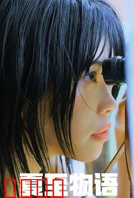 夏至物语：夏夜未央