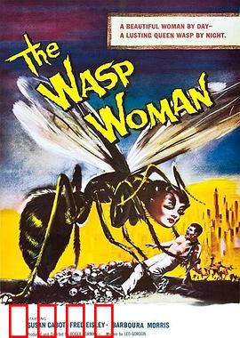 黄蜂女：量子战士