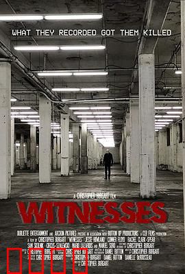 目击者2019：盲女之眼