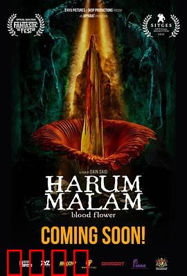 血忌：怨婴复仇