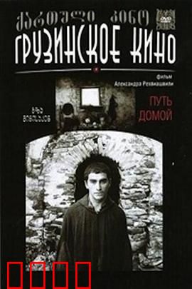 返乡之路：归心似箭