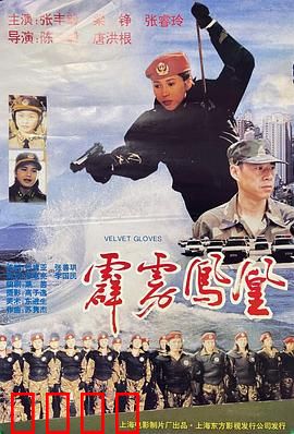 霹雳凤凰：女警的复仇