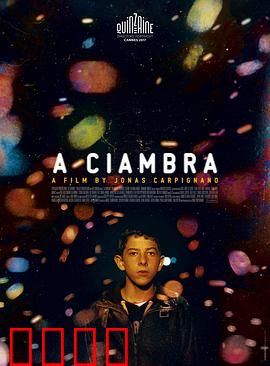 罗姆男孩：街头青春