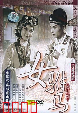 女驸马：才女逆袭