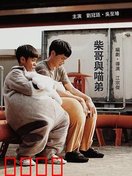 柴哥与喵弟：暖心宠物情缘