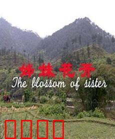 姊妹花开：姐妹情深似海