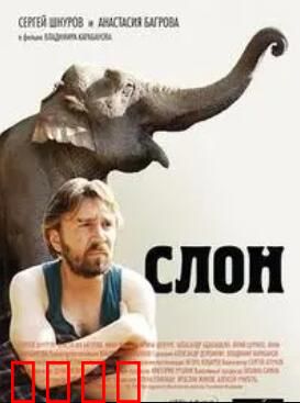 大象菩提：佛光普照