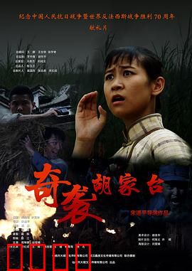 奇袭胡家台：神兵天降