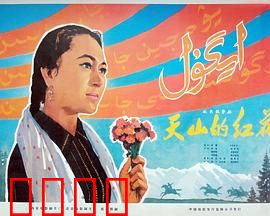 天山的红花：草原上的革命火种
