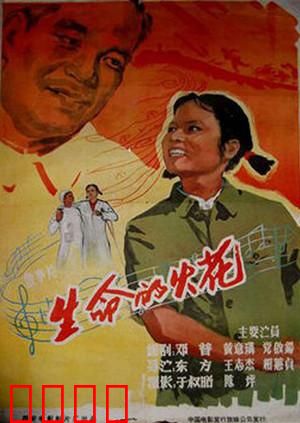 生命的火花：绝境重生