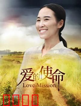 爱的使命：战地情缘