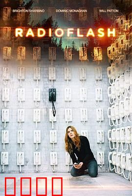 电磁脉冲：全球断电危机