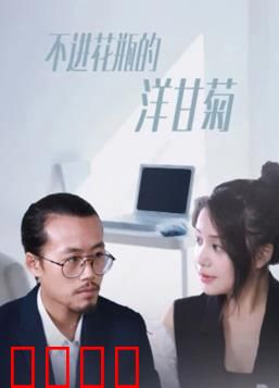 不进花瓶的洋甘菊：自由之花