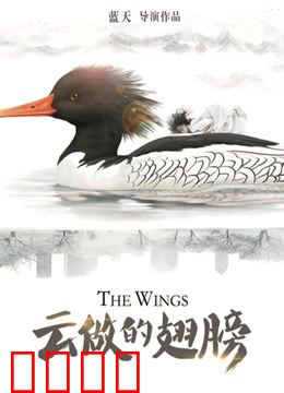 云做的翅膀：梦想起航