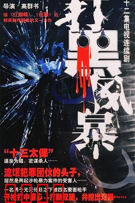 打黑风暴：正义利刃