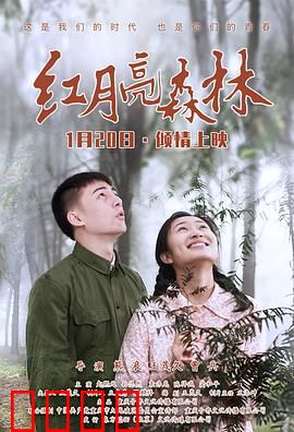 红月亮森林：血月之谜