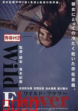 青春H2之狂野之花：叛逆的萌芽