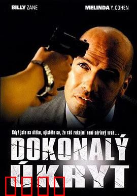 完美隐藏：身份谜局