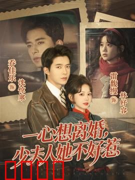 一心想离婚，少夫人她不好惹：霸气归来